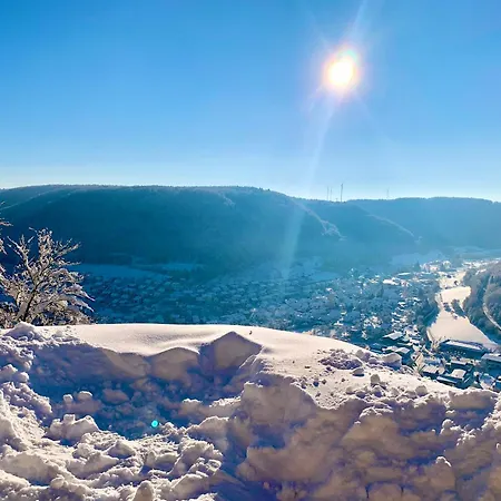 - Am Loewenpfad - Bad Ditzenbach-gosbach Appartement *