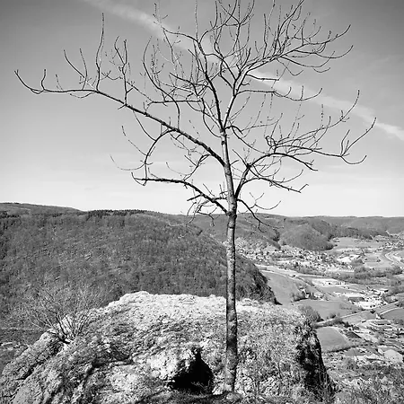Appartement - Am Loewenpfad - Bad Ditzenbach-gosbach