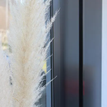 Appartement - Am Loewenpfad - Bad Ditzenbach-gosbach